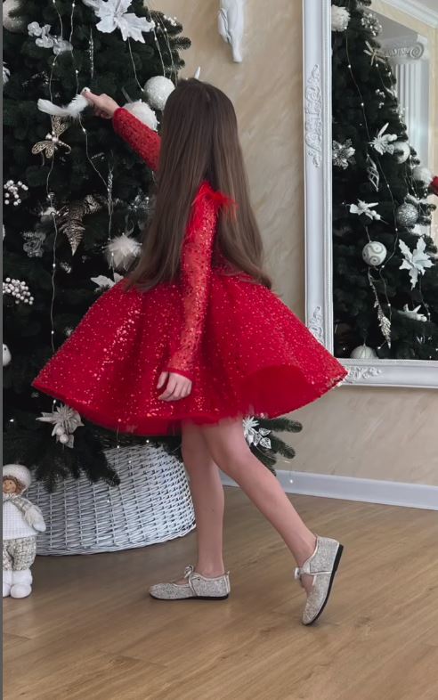 Fluffy Sequin And Beaded Birthday Party Dress