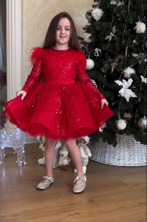Fluffy Sequin And Beaded Birthday Party Dress