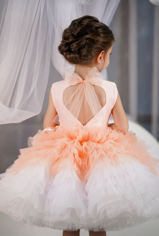 Fluffy Birthday Party Dress