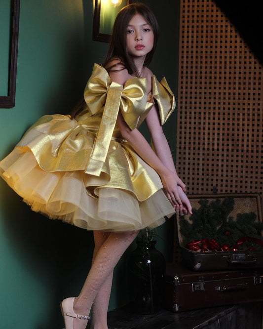 Fluffy Birthday Party Dress